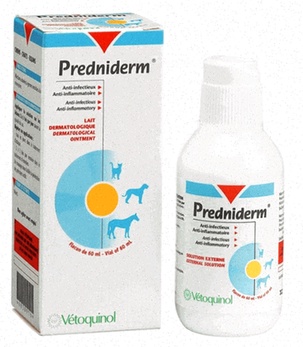 prednisolone